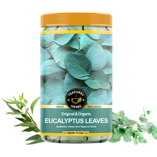 Teacurry Organic Eucalyptus Leaves Main Image