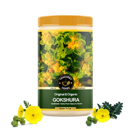 Teacurry Organic Gokshura Herb Main Image