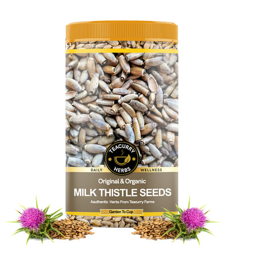 Teacurry Organic Milk Thistle Seeds Main Image