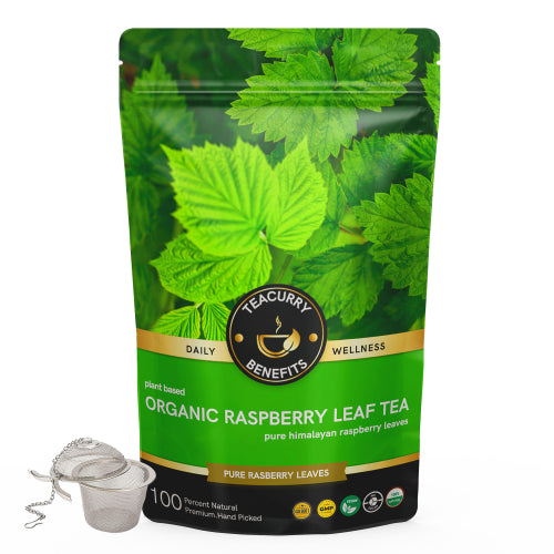 Teacurry Organic Raspberry Tea Pouch with Infuser