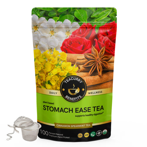 teacurry Stomach Ease Tea Pouch with Infuser