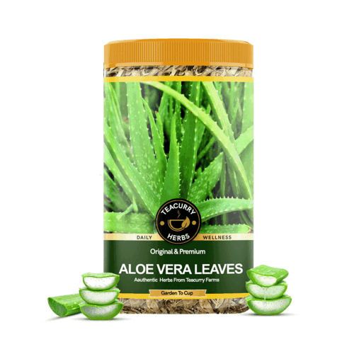 Aloe-Vera-Leaves