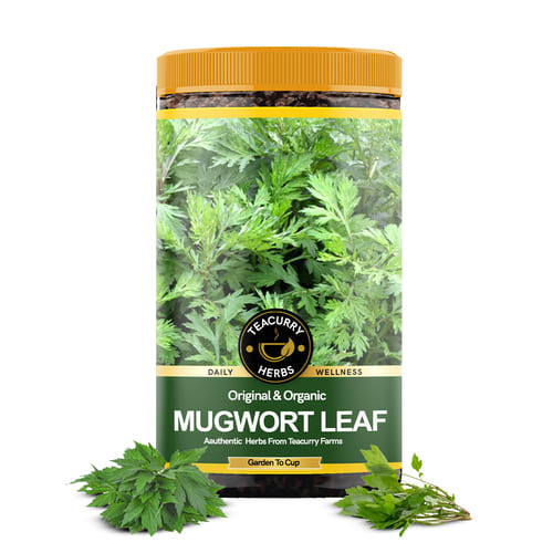 Teacurry Organic Mugwort Leaf Herb Main Image
