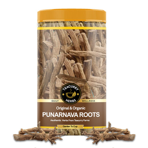 Teacurry Organic Punarnava Roots Herb Main Image