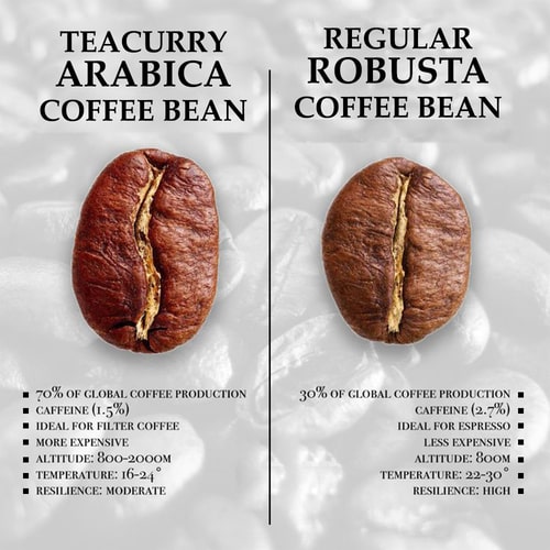 Teacurry organic whole bean