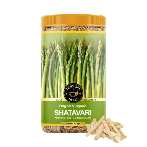 Teacurry Organic Shatavari Roots Main Image