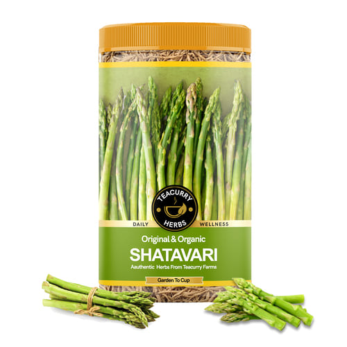 Teacurry Organic Shatavari Roots Main Image
