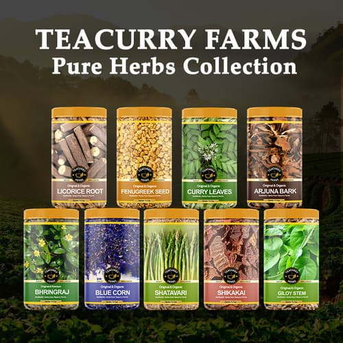 Teacurry Herbs Collection Common Image 